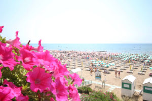 mare